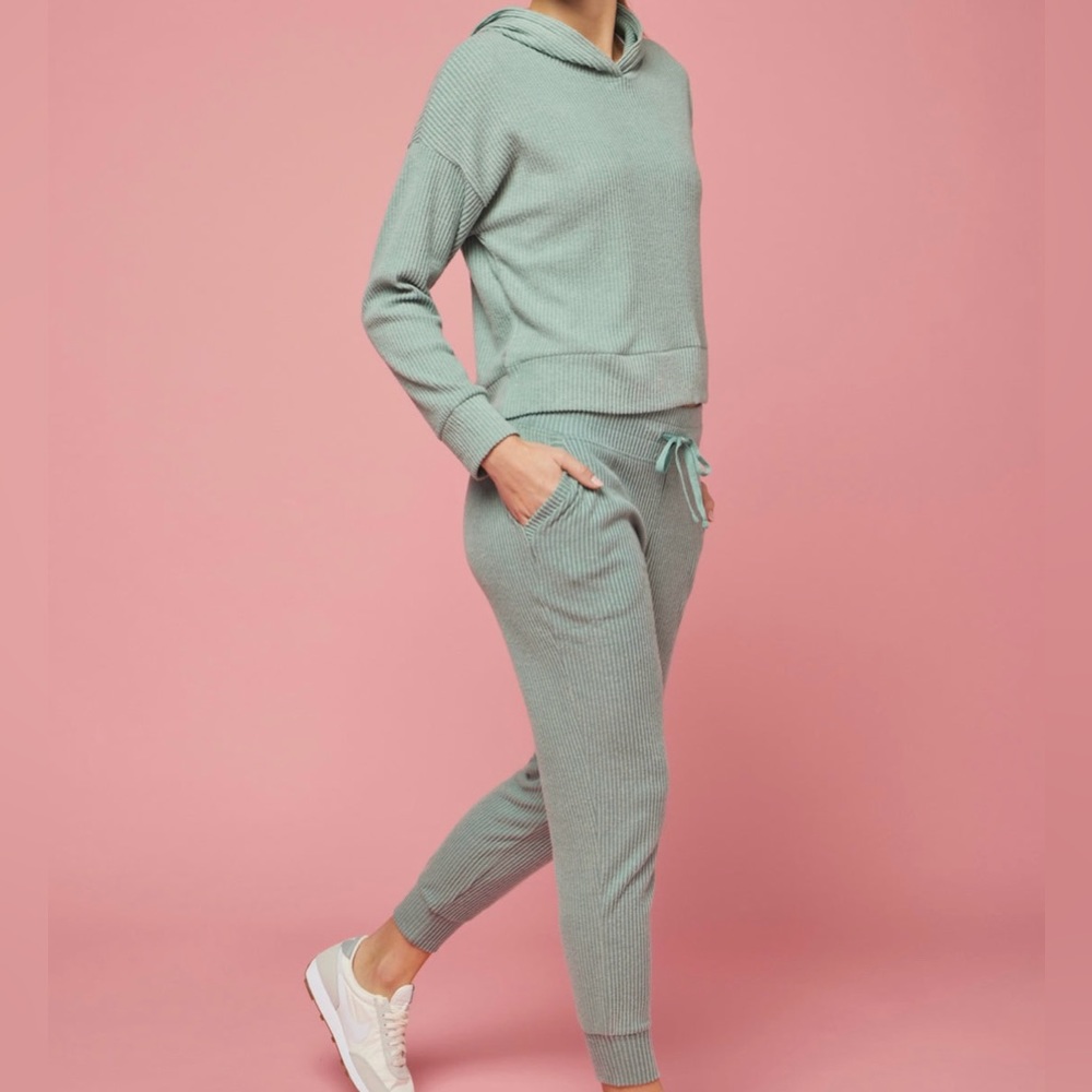 ZOBHA || Cropped Soft-Ribbed Hoodie in Heather Chinois Green - SZ Large 🔆NWT🔆